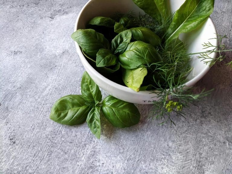 erbe-aromatiche